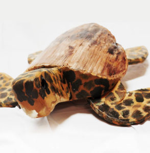 David Newcomer Carved Turtle